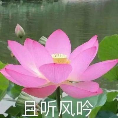 5000万方油当量！我国珠江口盆地再获重大油气发现